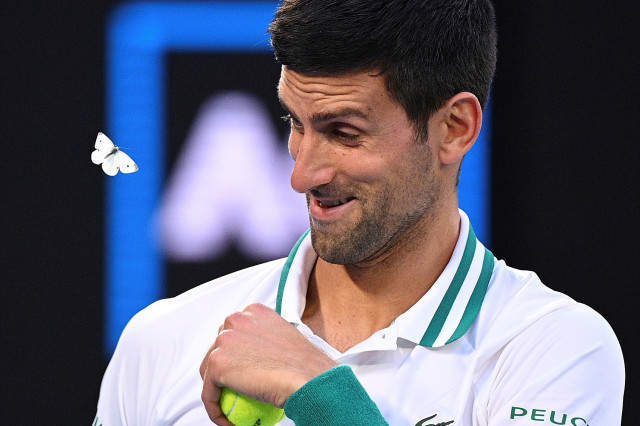 La exención de Djokovic enfurece al mundo del deporte en Australia