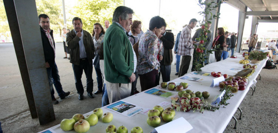 Abegondo seduce  a cientos de visitantes con su combinación de novedad e historia