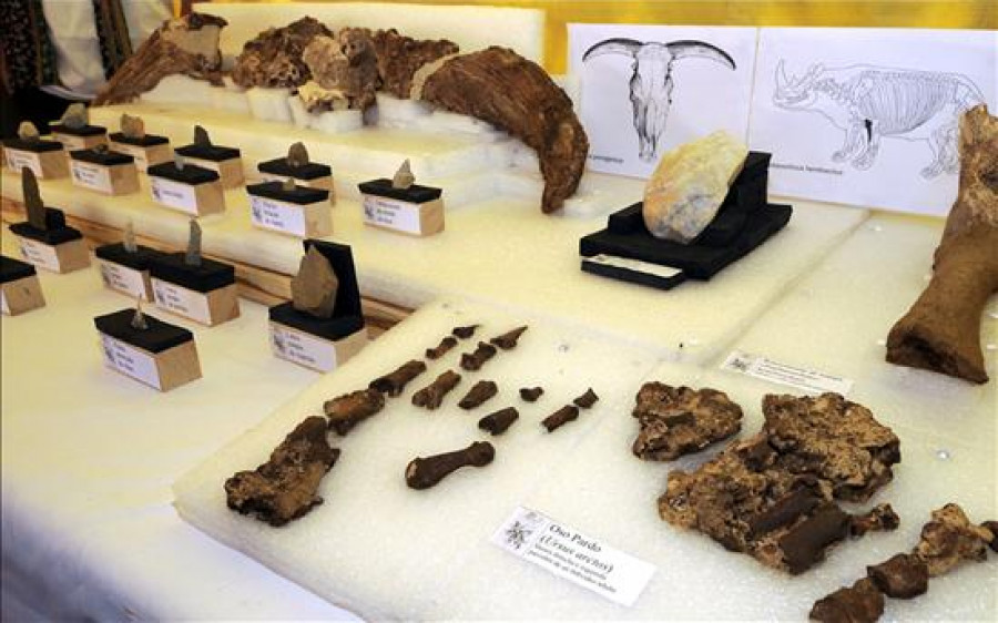 La ocupación neandertal en el centro de Iberia es 20.000 años más antigua de lo pensado