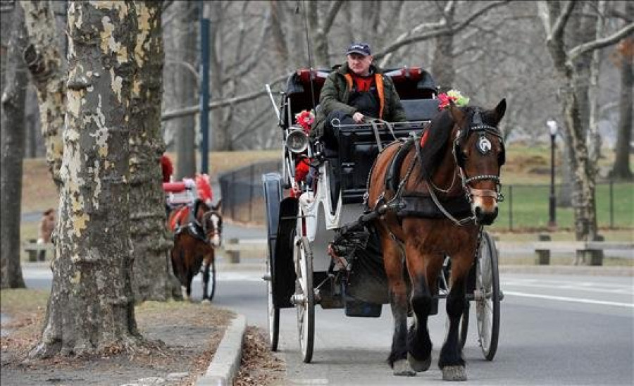 Nueva York propone prohibir los carruajes de caballos en la ciudad