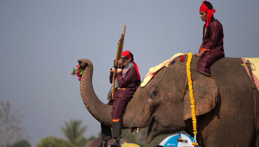 los laosianos se vuelcan con la celebración del festival del elefante