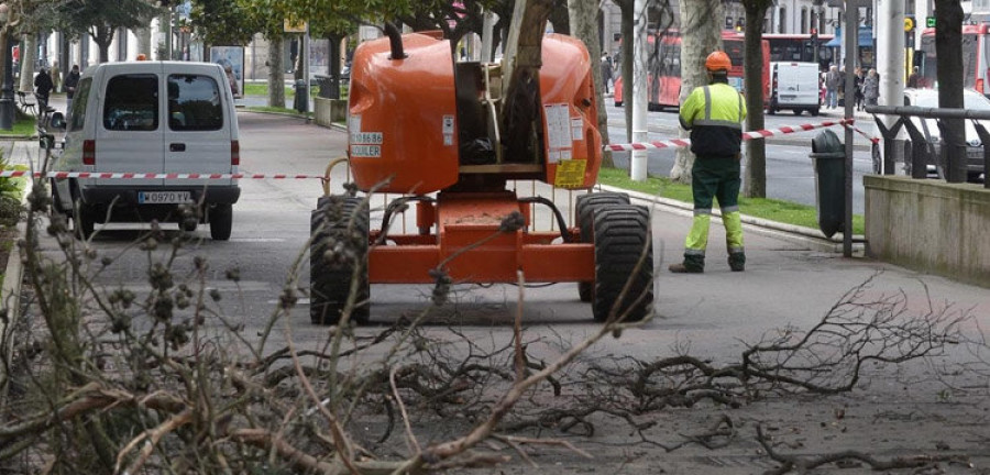 Talan un árbol en los jardines de Méndez Núñez que resultó muy dañado por los temporales