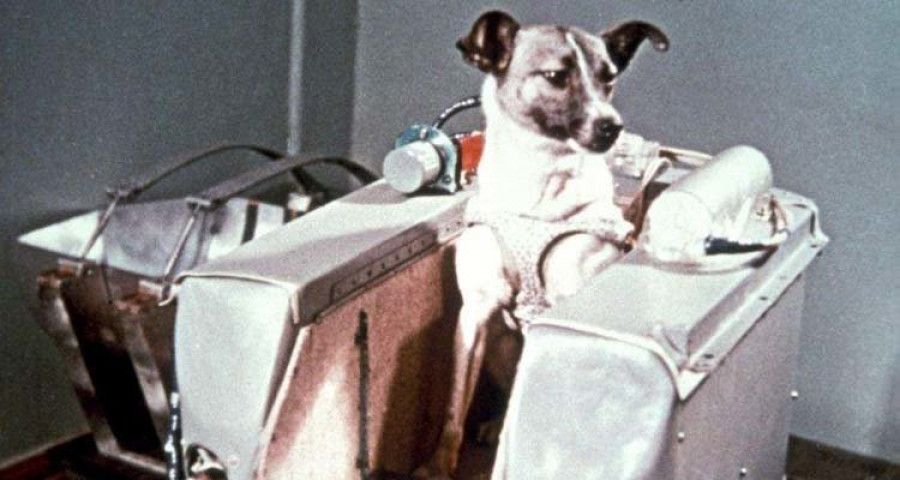 El viaje espacial de la perrita Laika cumple sesenta años