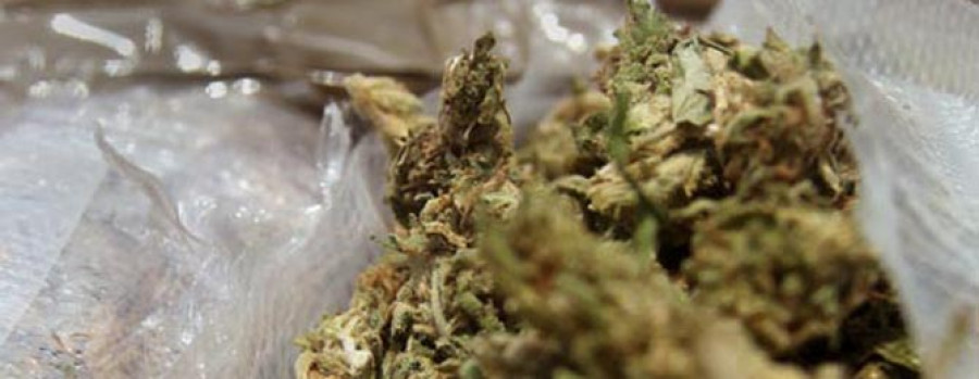 Detenido por cultivar 140 plantas de marihuana en su piso