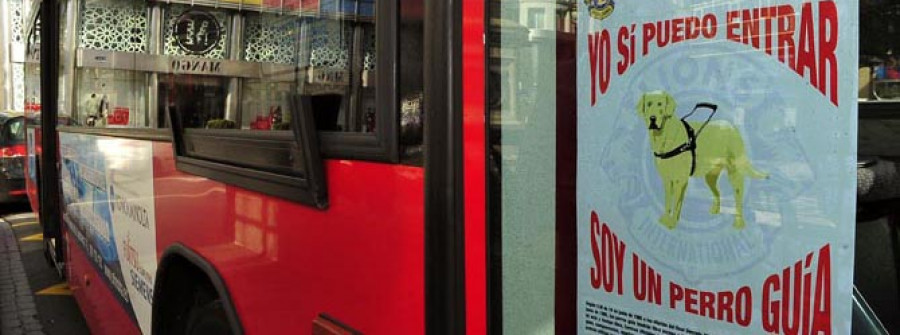 Los buses urbanos son pioneros en permitir que los pasajeros suban a bordo con sus mascotas