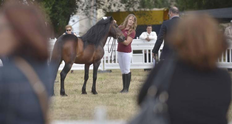 Reportaje | La Festa do Cabalo de Teixeiro cita en el municipio a los ejemplares más vistosos de Galicia