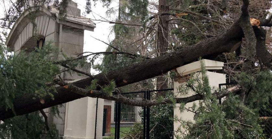 La borrasca “Hugo” causa la muerte de un niño en Madrid al caerle un árbol encima