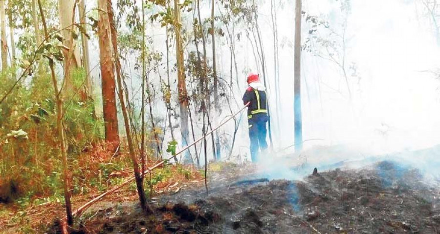 A Coruña y el área registran cuatro pequeños incendios