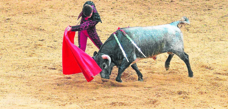 El TC anula la ley que prohíbe los toros  en Cataluña por ser competencia estatal