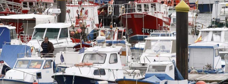 La costera del bonito comenzó en Burela con mayores ingresos que en 2014