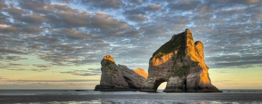 Las especies marinas saludan al objetivo  en la exposición  “Vida azul. Blue Life”