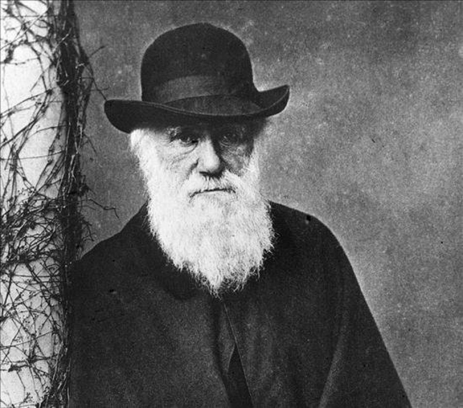 Los manuscritos originales de Darwin, disponibles a través de internet