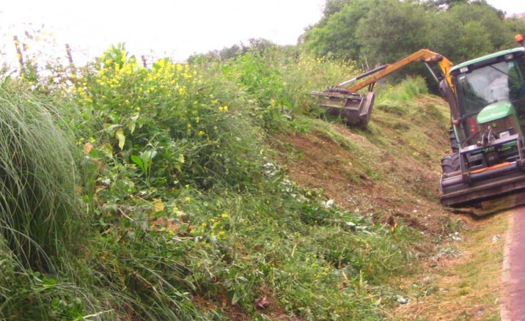 Seaga envía avisos para limpiar parcelas forestales en Bergondo