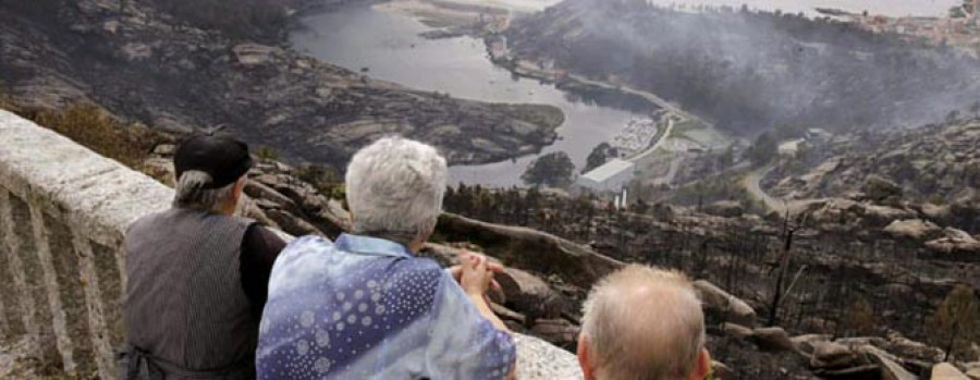 La Xunta aprueba el decreto que regula la ordenación y la gestión forestal