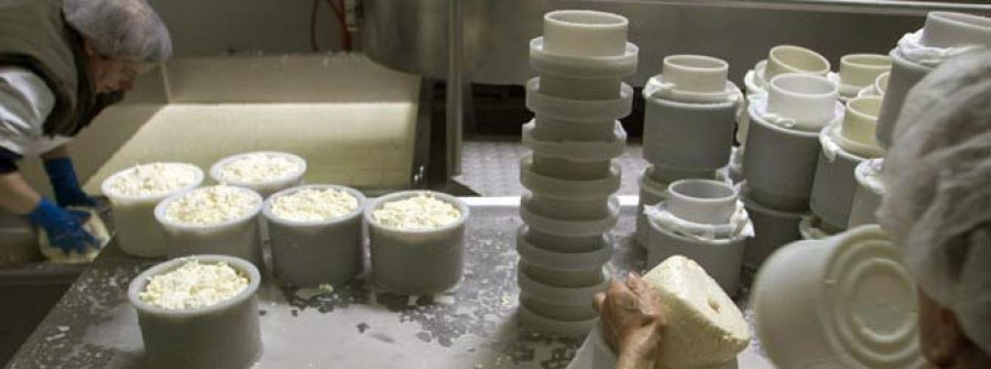 El SLG denuncia que la Administración abandone al sector lácteo "a su suerte"