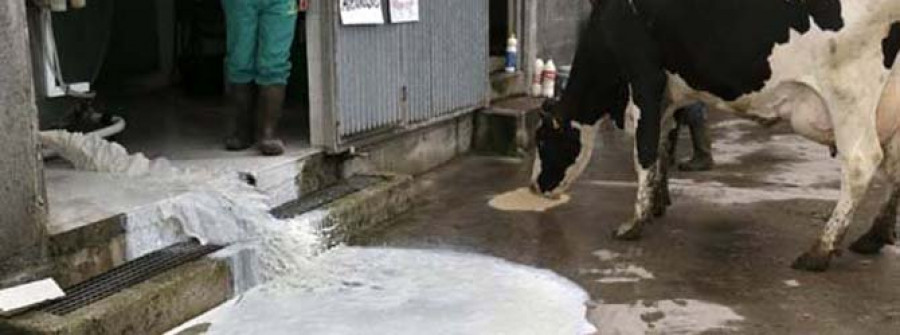 Alertan de que 1.850 ganaderos venden la leche por debajo del coste