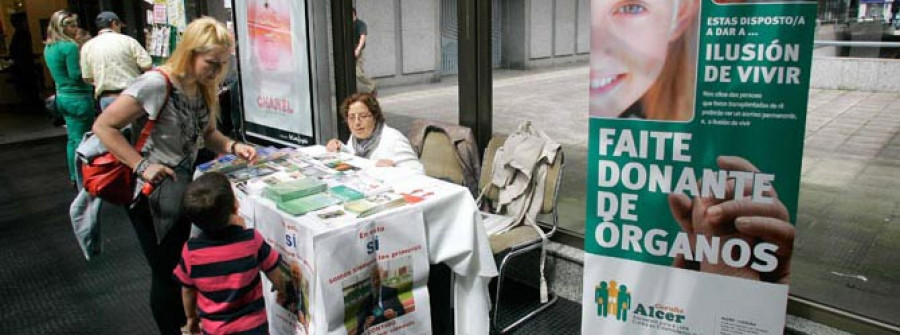 Servicios Sociales reparte los primeros dividendos de la austeridad municipal