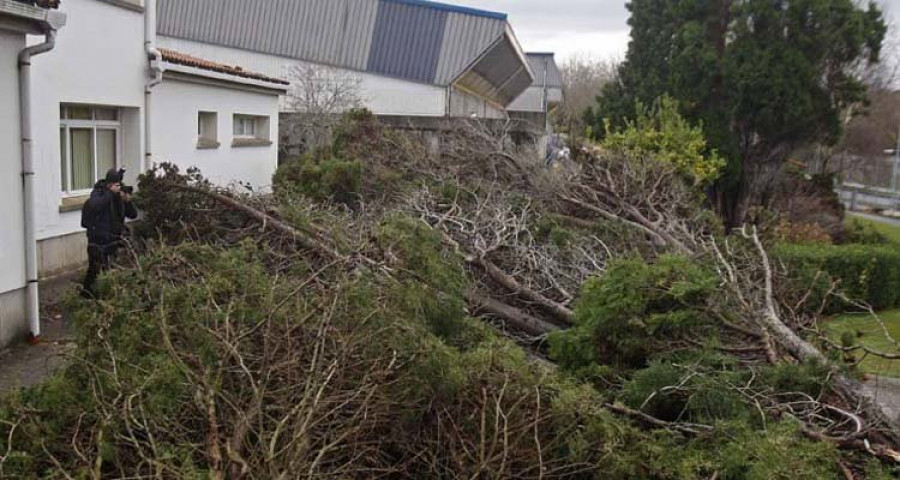 La borrasca suma docenas de árboles caídos y tejados y chimeneas arrancados