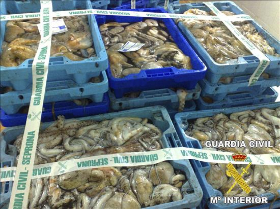 Guardacostas requisa 235 kilos de pulpo de captura ilegal en las rías gallegas