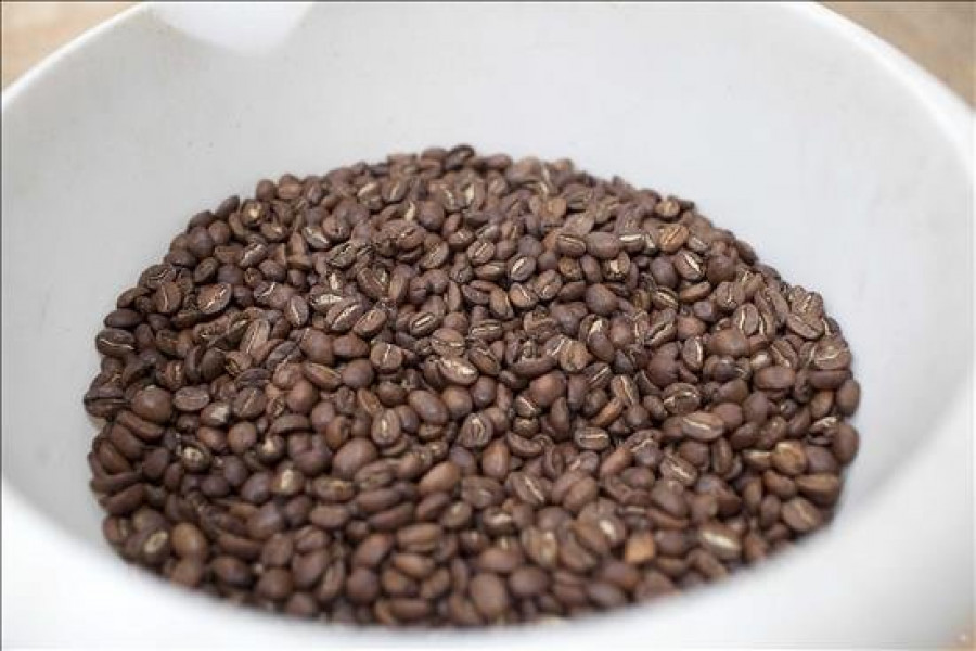 El precio del café toca su mínimo en un año pese al déficit de suministro