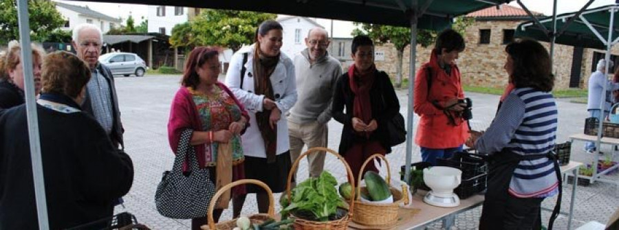 El mercado de huerta de Bergondo se celebrará  los viernes en San Isidro