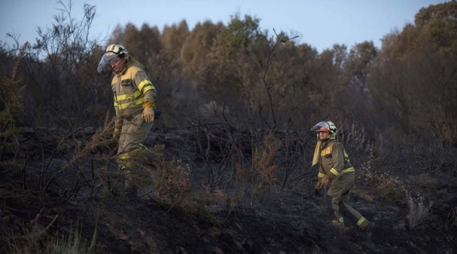 La Xunta permitirá excepciones en el veto al pastoreo en zonas donde hubo incendios