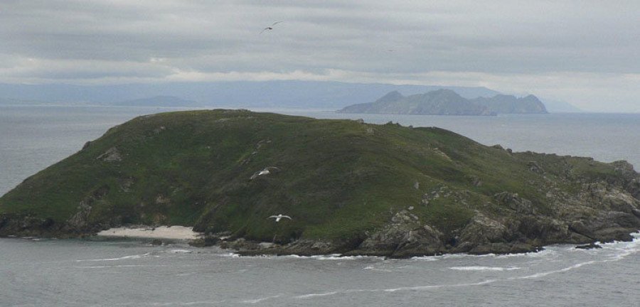 El PP de Vigo pide que las Cíes lideren la candidatura de las Illas Atlánticas