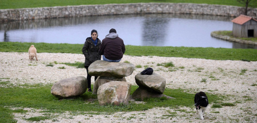 En A Coruña hay ya más perros que niños de entre cero y nueve años