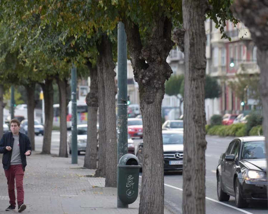 La Marea prepara el carril bici con una matanza arbórea