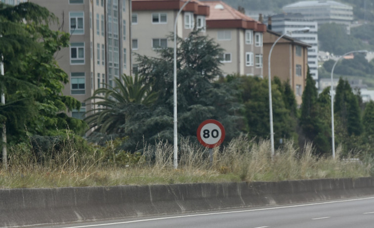 Los vecinos de Elviña critican la falta de mantenimiento de las zonas verdes