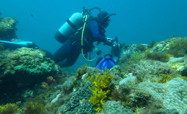 La coruñesa Viviana Peña lidera un estudio mundial sobre océanos