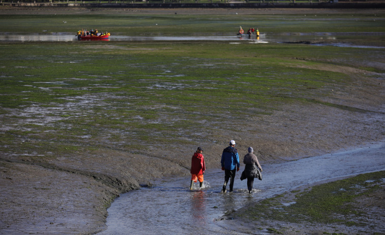 Examinan el lecho de la ría de O Burgo de cara al dragado