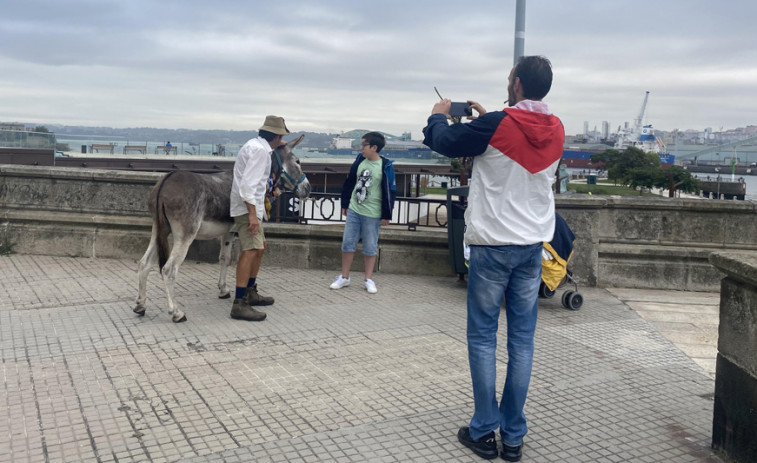 El peregrino más famoso del mundo y su burro visitan A Coruña