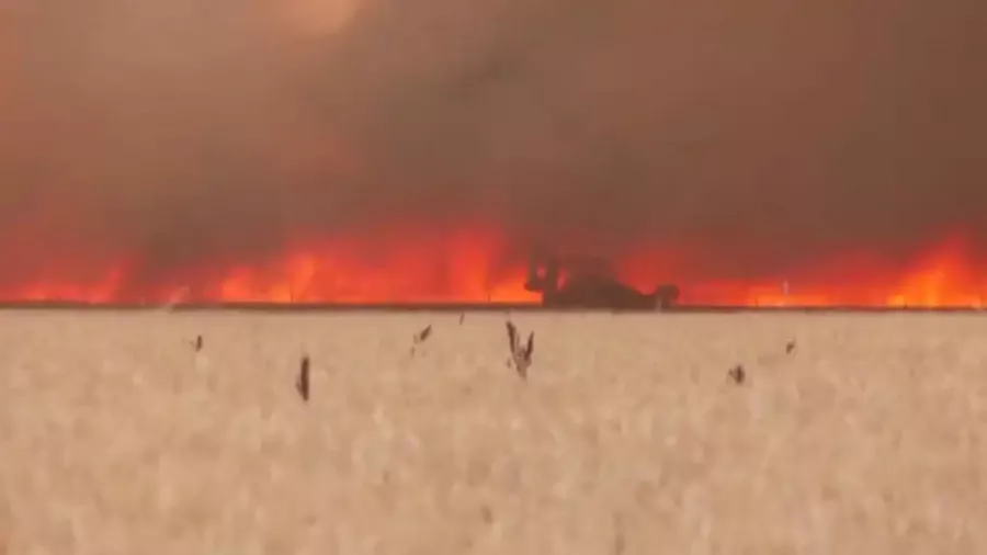 Muere el vecino de Tábara atrapado por las llamas cuando intentaba apagar el incendio