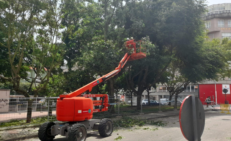 Aumenta algo menos de un 30% el coste  de mantenimiento  de las zonas verdes