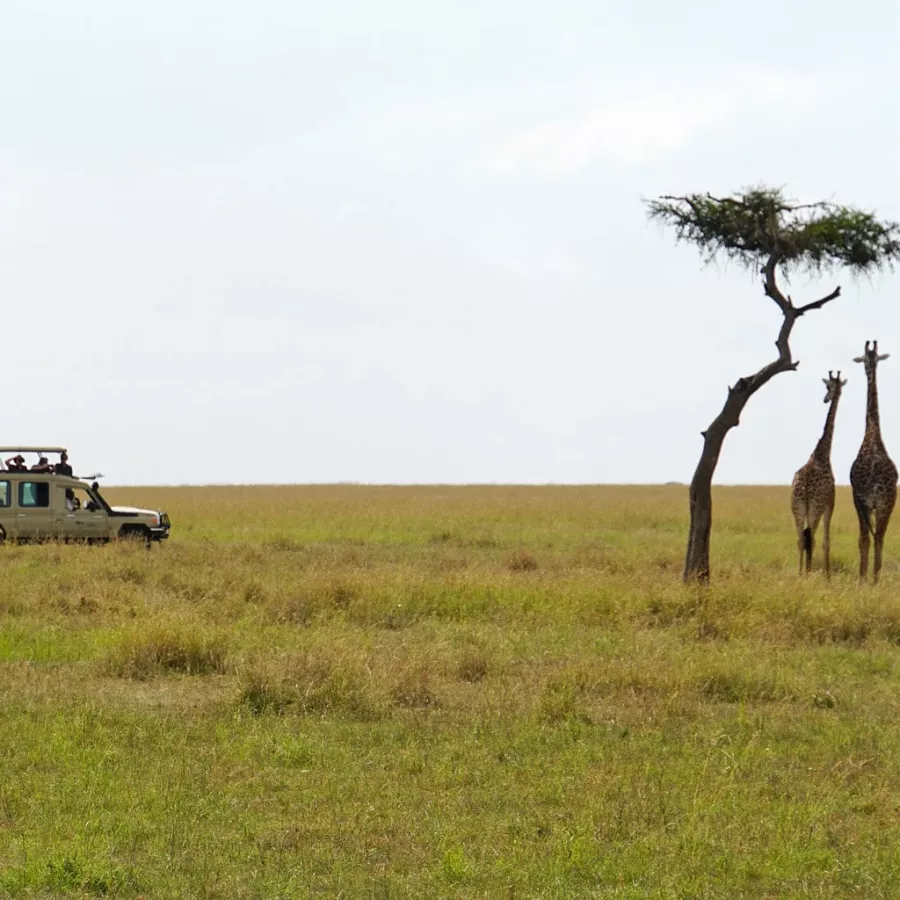 Mueren dos turistas europeos al volcar su vehículo en el Masai Mara