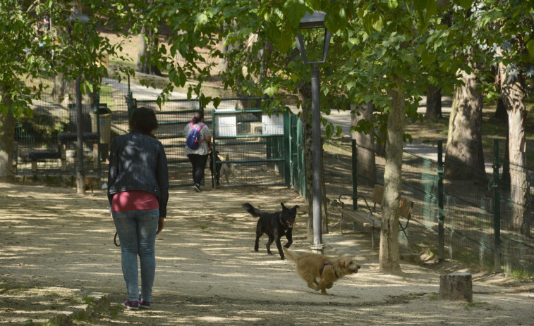 Multado en Cambre con 750 euros por no recoger los excrementos de su perro de la calle