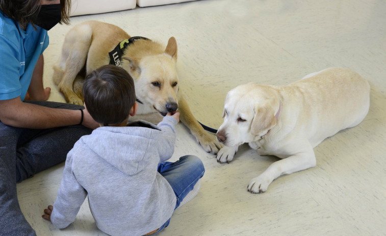 Analizan los beneficios del uso de perros con menores ingresados en un estudio de la Fundación María José Jove