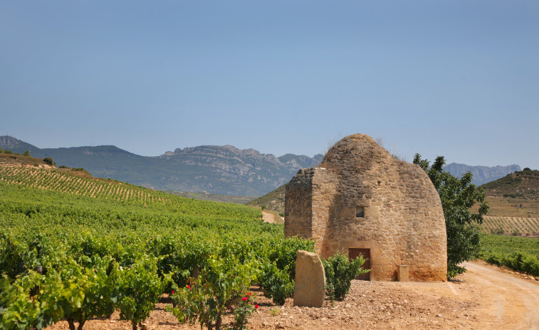 Hijos de Rivera comercializará en Galicia y Portugal los vinos de Sierra Cantabria