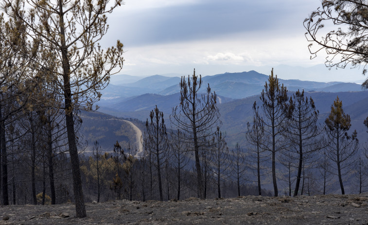 La Fiscalía vigilará que los ayuntamientos adopten medidas  para tratar de prevenir los fuegos forestales