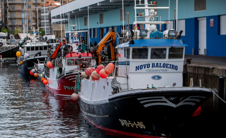 La UE pacta el reparto de pesca de 2024 con la cifra de merluza 