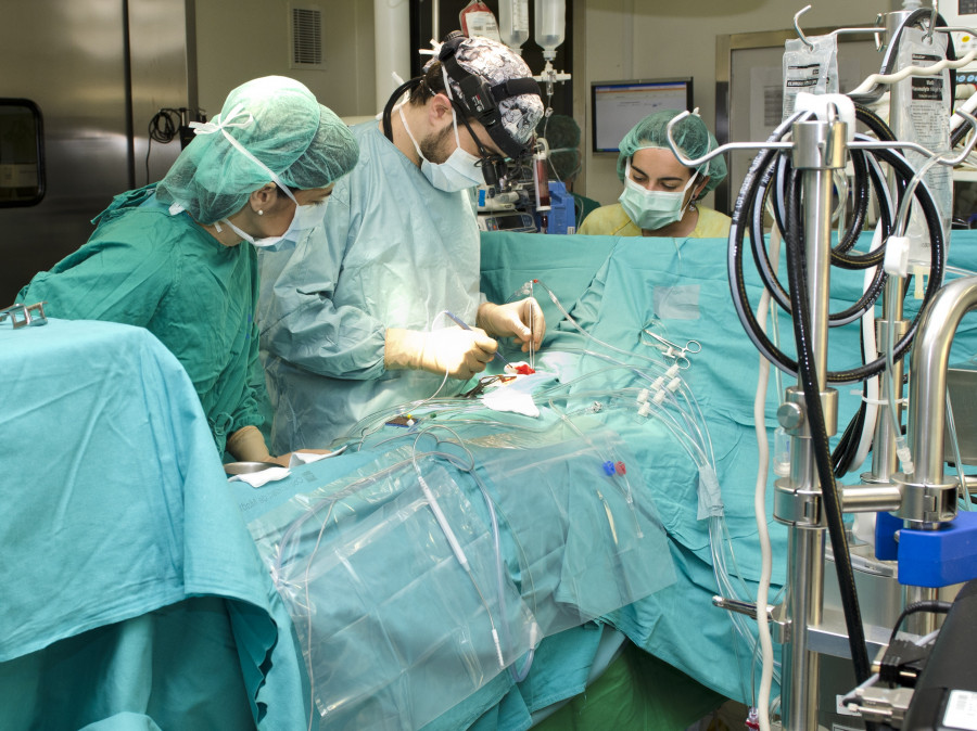 Un nuevo proyecto optimizará el uso de sangre de cordón umbilical en trasplantes urgentes