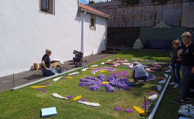 Miño celebra el Corpus Christi con la elaboración de alfombras florales en Perbes