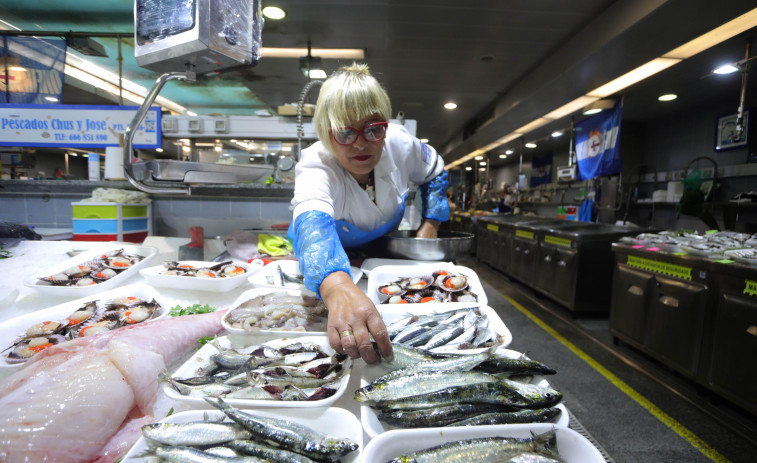 El optimismo reina en la plaza de Lugo de A Coruña: “No habrá problema con la sardina en San Juan”