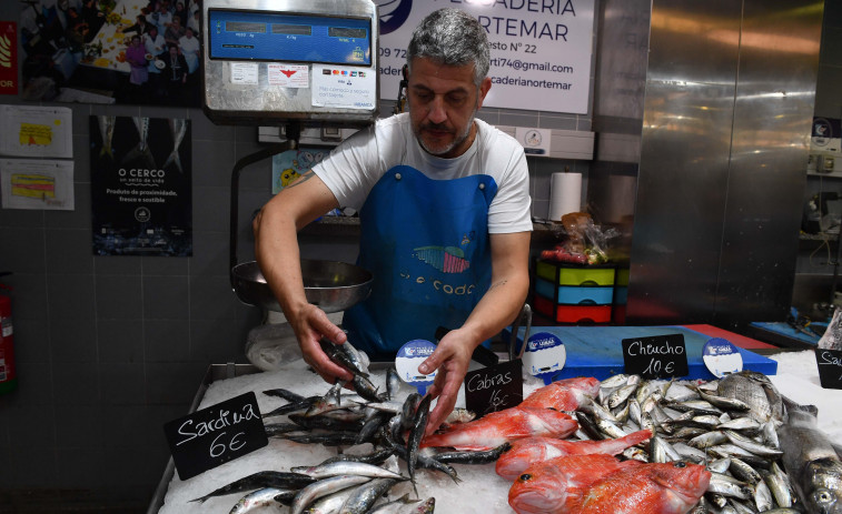 Las sardinas en los mercados de A Coruña: grandes, abundantes y a buen precio