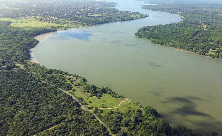Detenido un empresario sospechoso de ser el mayor destructor de la Amazonía brasileña