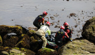 Los Bomberos rescatan el cadáver de un delfín de las rocas al pie del Millennium