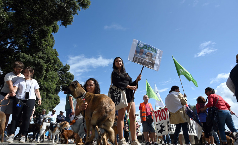 Dueños de mascotas se concentran en el Paseo Marítimo coruñés para reclamar acceso a las playas para los animales