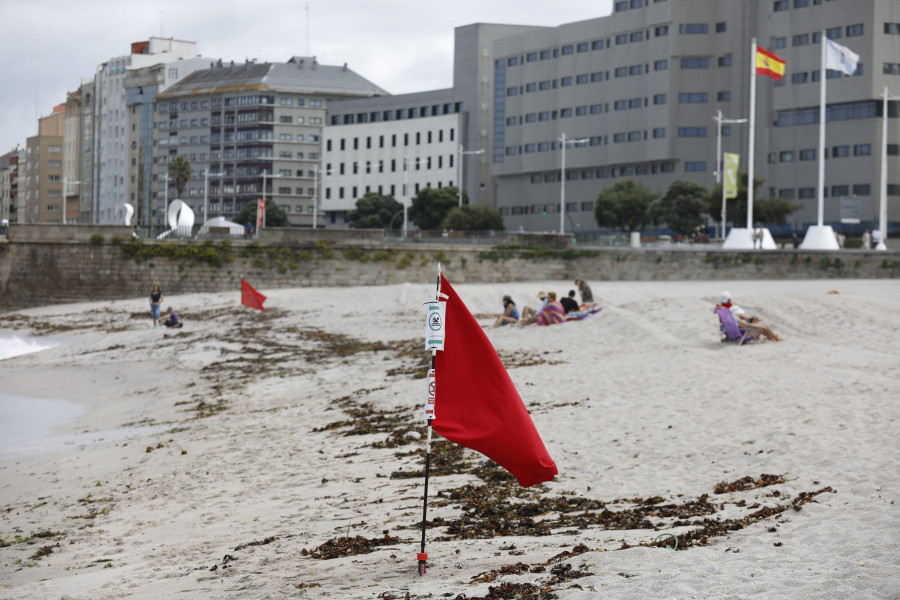 Prohibido el baño en las playas de A Coruña por la presencia de carabelas portuguesas