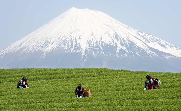 Las autoridades cuestionan el futuro del monte Fuji por el sobreturismo